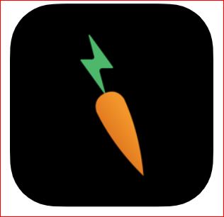 Rabbit Inc. seeks debt raise ahead of A-round<br>for Carrot power-bricks rental kiosks 